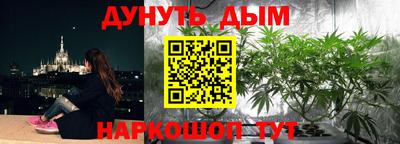 метадон Новозыбков