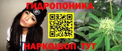 ГАЛЛЮЦИНОГЕННЫЕ ГРИБЫ Новодвинск