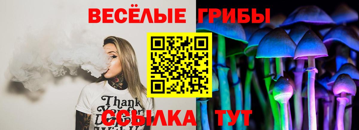 как найти   Псилоцибиновые грибы ЛСД  Галлюциногенные грибы Cubensis  Вход с VPN  Славянск-на-Кубани 